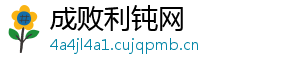成败利钝网